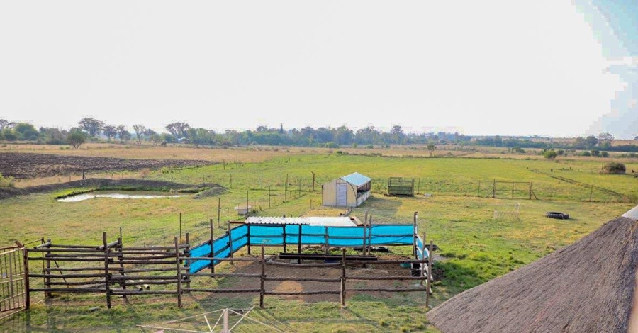 6 Bedroom Property for Sale in Koppies Rural Free State